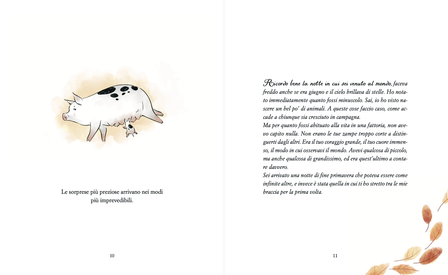 Bundle Libro - L'ultima lezione di Pumba e segnalibro Pumba