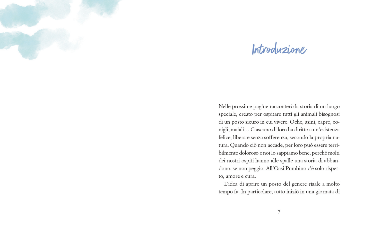 Libro - Il sogno di Pumbino AUTOGRAFATO