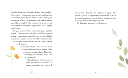 Libro - Il sogno di Pumbino AUTOGRAFATO