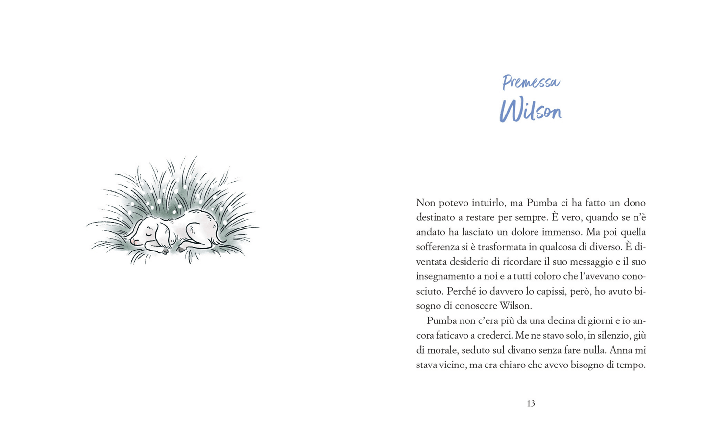 Libro - Il sogno di Pumbino AUTOGRAFATO